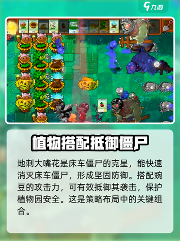 植物大战僵尸杂交版🔥床车僵尸打法攻略来啦！截图2