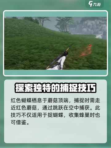 燕云十六声蝴蝶如何抓介绍截图4