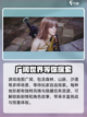 剑灵2手游公测时间🔥等你来战！🎉截图5