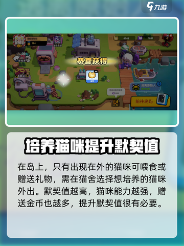 喵喵岛猫咪默契度怎么提升介绍截图4