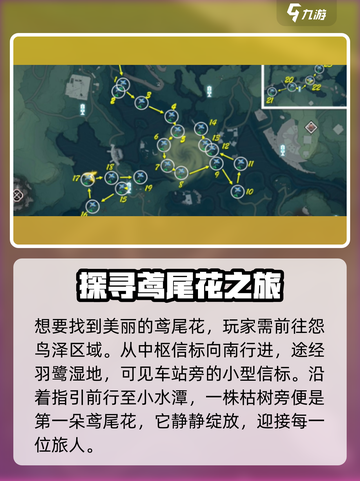 鸣潮🔥鸢尾花具体位置大曝光！ Floral Secrets📍截图2