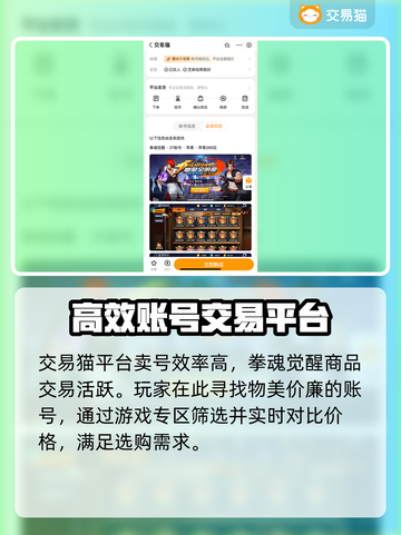拳魂觉醒🔥高性价比账号出售平台推荐！截图3