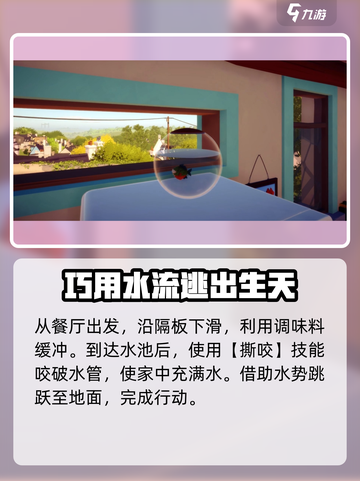 我是小鱼儿🔥食人鱼关卡通关秘籍分享！截图2