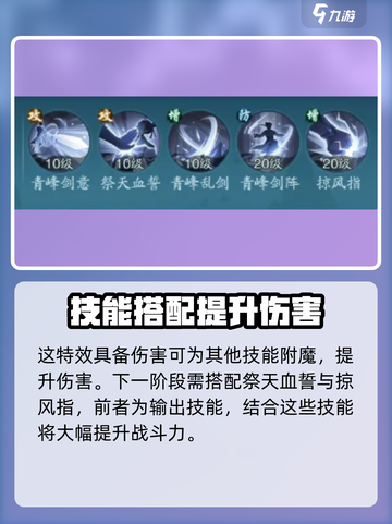 踏风行武宗技能搭配推荐介绍截图3