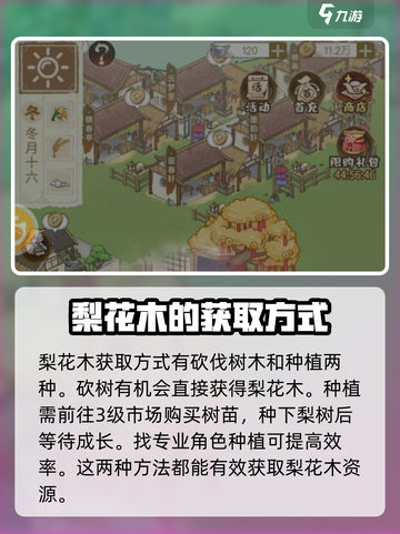 解忧小村落梨花木是什么介绍截图2