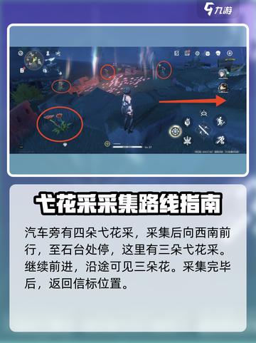鸣潮🔥妙弋花采集位置大揭秘！💡游戏党必看！截图3