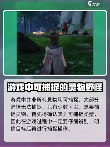 仙剑世界灵物是什么介绍截图2