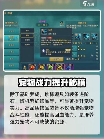 魔力宝贝复兴📖宠物道具全攻略💡宠物养成必备！截图3