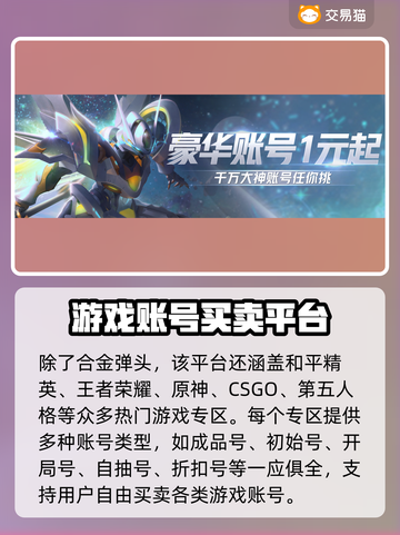 合金弹头觉醒账号出售平台大揭秘💥截图6
