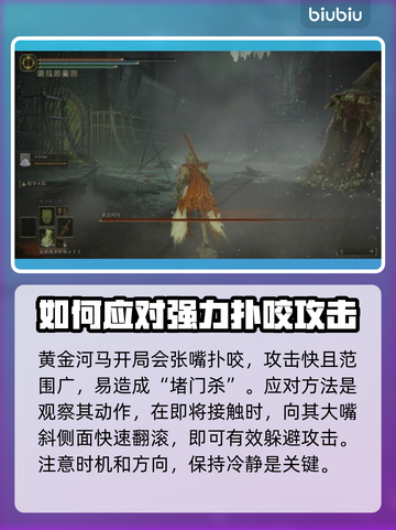 艾尔登法环：黄金河马打法🔥一招制胜！截图3