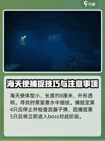潜水员戴夫🔥海天使位置全揭秘💎截图3