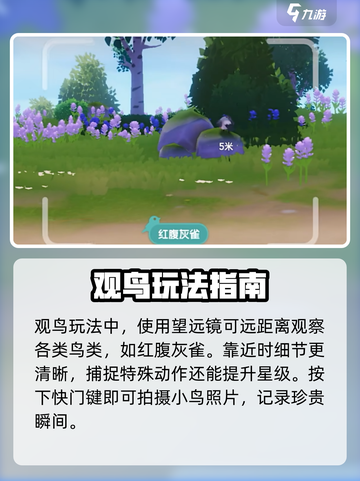 心动小镇怎么拍照介绍截图2