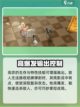 无尽梦回🔥梦灵推荐｜最强搭配等你来战！截图6