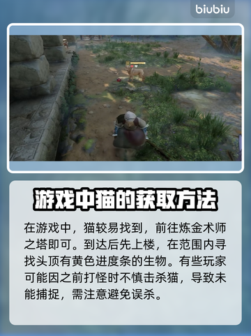 雾锁王国猫在哪？抓住它！🎮🐾截图2
