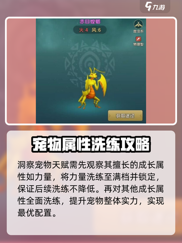 魔力宝贝复兴版🔥宠物洗练终极攻略💡截图3