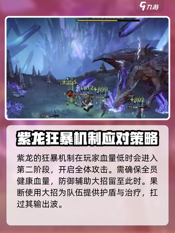 龙息神寂紫龙打法介绍截图4