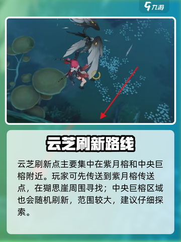🎮鸣潮云芝位置大公开！速来围观截图3