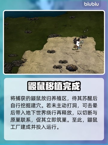 【饥荒】鼹鼠工厂暴富秘籍💸截图3