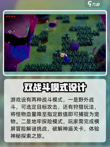 塞尔达传说智慧的再现限定机是什么介绍截图3