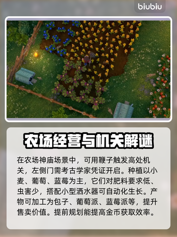 鲁玛岛新手必看！💥快速上分小技巧💡截图4