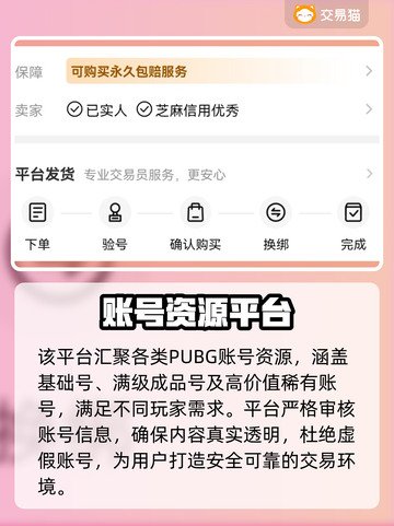  PUBG账号交易TOP平台大揭秘🔥游戏代练必备💼🚀截图3