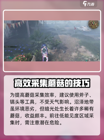 七日世界蘑菇去什么地方采集介绍截图3