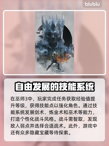 巫师3🔥需要加速器吗？必备加速器推荐✨截图2