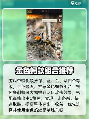 小小蚁国金蚂蚁组合推荐介绍截图2