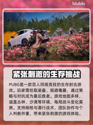 绝地求生闪退？用对加速器轻松解决！🎮🔥截图2