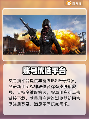 🔥PUBG账号交易神平台推荐！💥截图2