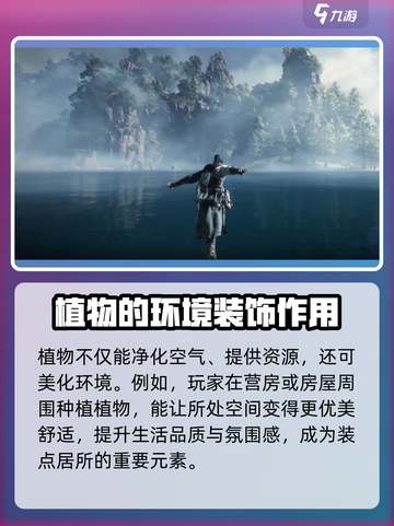 燕云十六声植物的用途分享介绍截图3