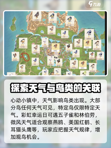 心动小镇🔥超全解锁观鸟方法birdsWATCHING✨截图2