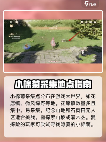 无限暖暖小棉菊采集攻略介绍截图2