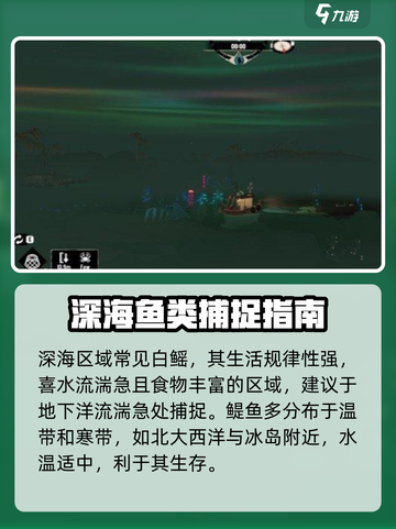 渔帆暗涌各海域鱼类分布特点介绍截图3