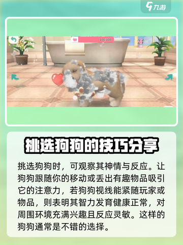 梦幻小狗怎么选狗介绍截图2