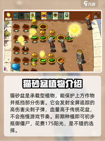 植物大战僵尸之向日葵猫砂盆💎组合超赞！截图3
