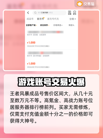 王者风暴账号交易🔥安全吗？玩家必看⚠截图3