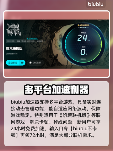🎮饥荒联机卡到爆？一招解决超流畅！截图4