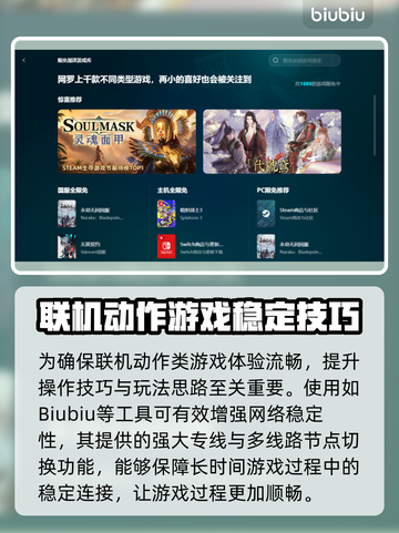 🎮无双大蛇2终极版掉帧？速看加速器推荐！截图3