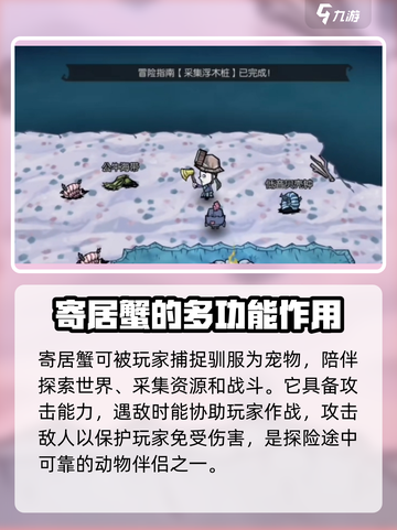 饥荒新家园💡寄居蟹超全作用解析来了！截图2