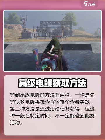 七日世界⚡高级电鳗获取方法大揭秘！玩家必看🔥截图4