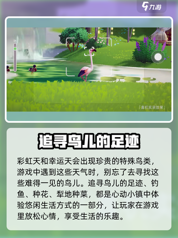 心动小镇🔥必看！特殊鸟类位置大全🎉截图5