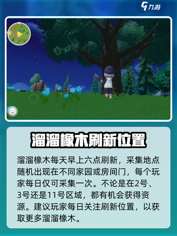 心动小镇🔥橡木隐藏位置大曝光！快来打卡✨截图4