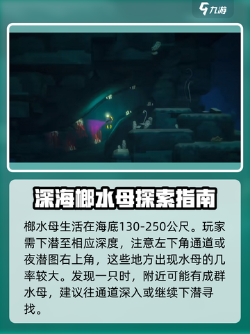 潜水员戴夫水母在哪里介绍截图2
