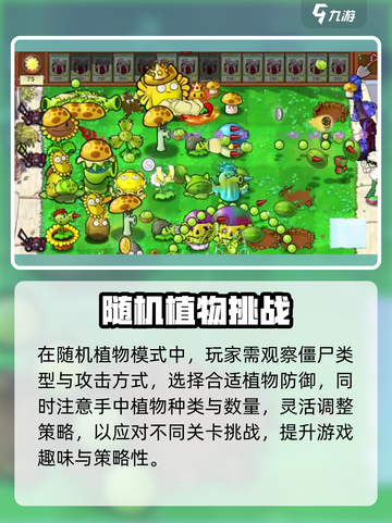 🎮植物大战僵尸杂交版随机植物玩法曝光！💥截图4