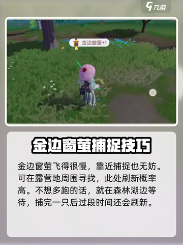 心动小镇🔥超稀有金边窗萤位置大揭秘！抓住它！截图4