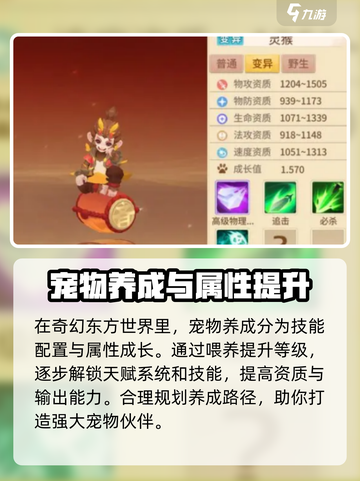 梦想桃源宠物养成🔥超详细玩法解析来啦！截图2