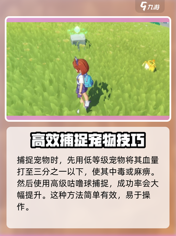 洛克王国💥世界格兰种子位置大揭秘！🔥截图4