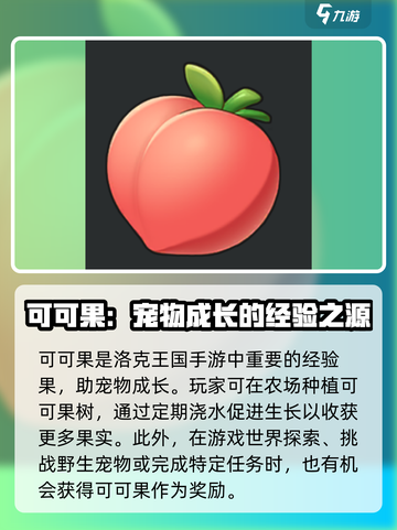 洛克王国手游道具有哪些介绍截图5