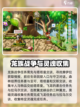 冒险岛枫之传说神木村攻略介绍截图4
